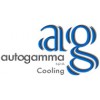 AUTOGAMMA