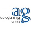 AUTOGAMMA